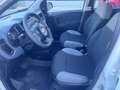 Fiat Panda Panda III 2021 1.0 firefly hybrid s Blanco - thumbnail 7