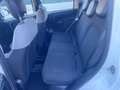 Fiat Panda Panda III 2021 1.0 firefly hybrid s Blanco - thumbnail 8