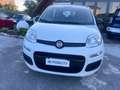 Fiat Panda Panda III 2021 1.0 firefly hybrid s Blanco - thumbnail 1