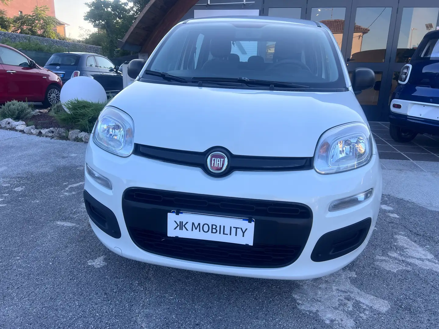 Fiat Panda Panda III 2021 1.0 firefly hybrid s Blanco - 1