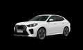 BMW iX2 iX2 eDrive20 MSport Pro Blanc - thumbnail 1