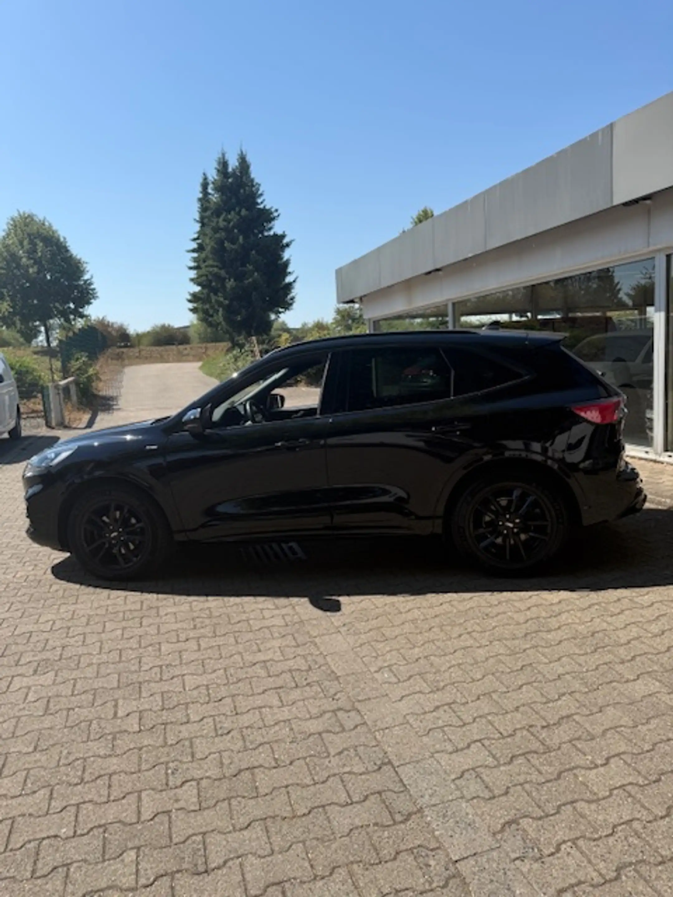 Ford Kuga Kuga Diesel 2.0 EcoBlue 4x4 Aut. ST-LINE X — photo 5