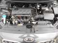 Kia Ceed SW / cee'd SW Ceed 1.4 Sportswagon Edition 7 KLIMA/PDC Grün - thumbnail 14