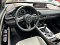Mazda CX-30 e-Skyactive-X 186 Exclusive-Line Aut./COM-W/DAS... Noir - thumbnail 10