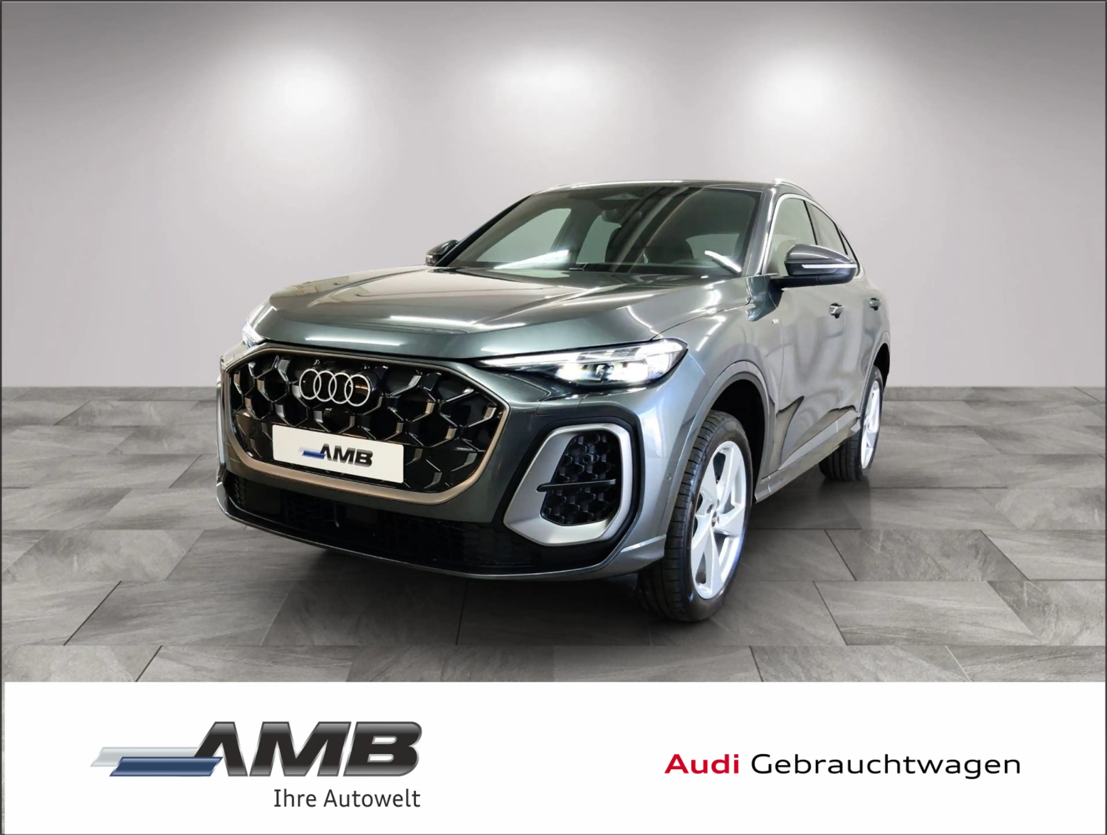 Audi Q5 S line TDI q Luft/Tech pro/Volllack