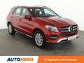Mercedes-Benz GLE 400 GLE 400 4Matic Aut.*NAVI*360°*LED*PLA* Rojo - thumbnail 8