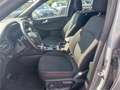 Ford Kuga 2,5 Duratec FHEV ST-Line Silber - thumbnail 9
