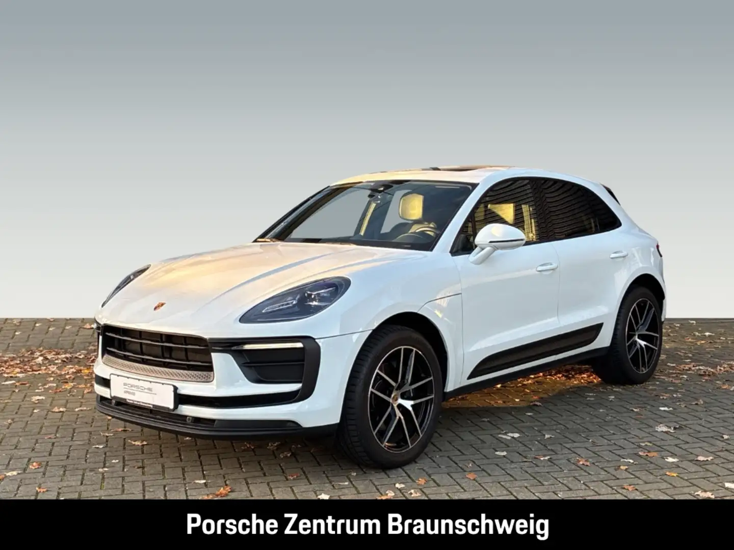 Porsche Macan BOSE Panorama Luftfederung Rückfahrkamera Weiß - 1