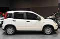 Fiat Panda Hybrid 1.0 70cv Bianco - thumbnail 4