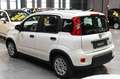 Fiat Panda Hybrid 1.0 70cv Bianco - thumbnail 7