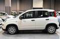 Fiat Panda Hybrid 1.0 70cv Bianco - thumbnail 8