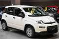 Fiat Panda Hybrid 1.0 70cv Bianco - thumbnail 3