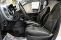 Fiat Panda Hybrid 1.0 70cv Bianco - thumbnail 13