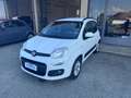 Fiat Panda Panda 1.2 Lounge 69cv E6 Bianco - thumbnail 1