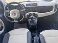 Fiat Panda Panda 1.2 Lounge 69cv E6 Bianco - thumbnail 8
