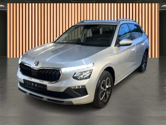Skoda Kamiq view 2