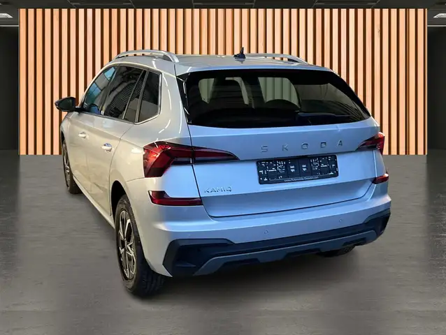 Skoda Kamiq view 4