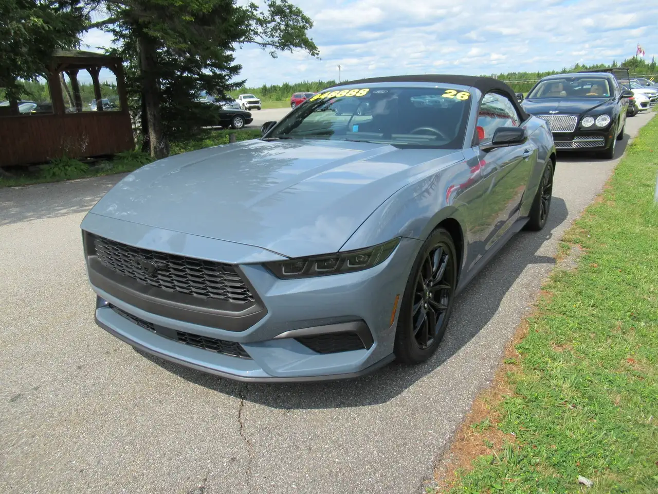 Ford Mustang снимка Ford Mustang