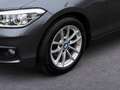 BMW 116 116 d Advantage *SZH* Xenon* Temp* Grau - thumbnail 6
