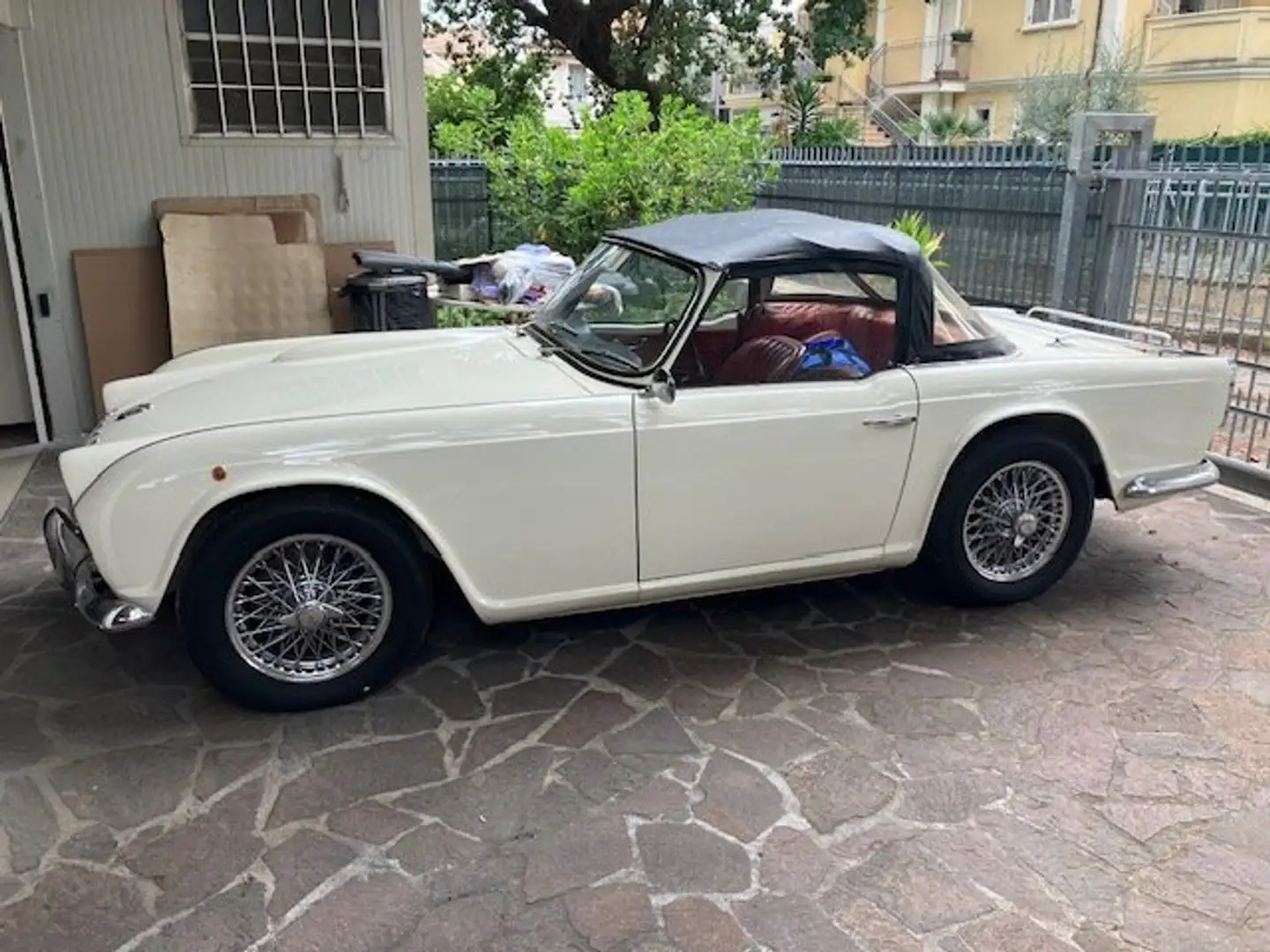 Triumph TR4 SPORT Bianco - 2