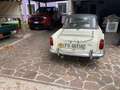 Triumph TR4 SPORT Bianco - thumbnail 6