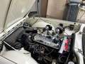 Triumph TR4 SPORT Bianco - thumbnail 10