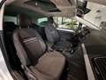 Volkswagen Golf VII 2.0 TDI Lim. Cup BMT*Pano,Tempo,AHK* Weiß - thumbnail 20