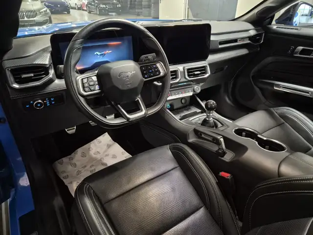 Ford Mustang view 19