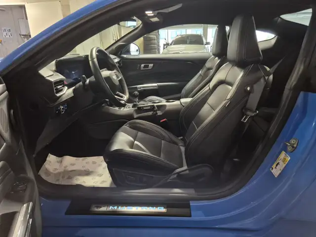 Ford Mustang view 23