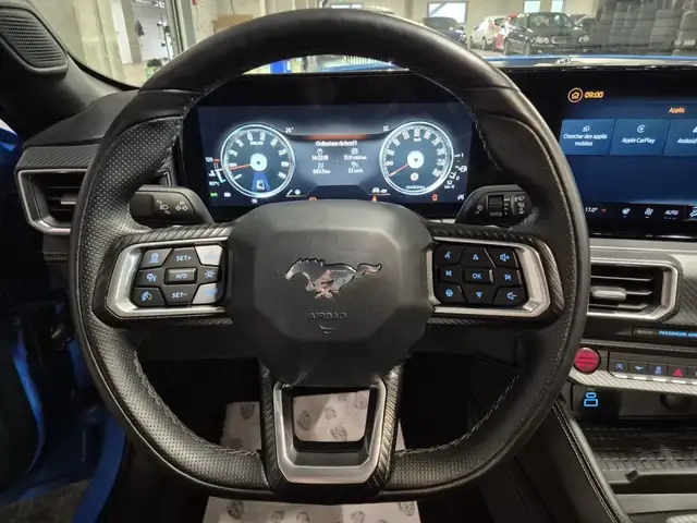 Ford Mustang view 24