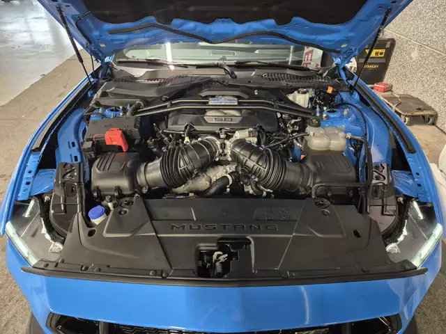 Ford Mustang view 8