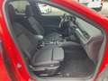 Ford Focus 1.5 EcoBoost ST-Line S/S Rood - thumbnail 10