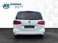 Volkswagen Sharan 2.0 TDI DSG Highline EXCLUSIVE 7-Sitze Weiß - thumbnail 5