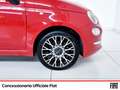 Fiat 500 1.0 hybrid 70cv Rosso - thumbnail 22