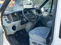 Ford Transit Bus Bianco - thumbnail 9