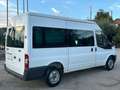 Ford Transit Bus Bianco - thumbnail 5