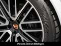 Porsche Cayenne Black Edition HA-Lenkung Head-Up 22-Zoll Weiß - thumbnail 14