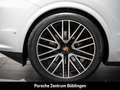 Porsche Cayenne Black Edition HA-Lenkung Head-Up 22-Zoll Weiß - thumbnail 13