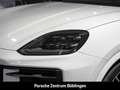 Porsche Cayenne Black Edition HA-Lenkung Head-Up 22-Zoll Weiß - thumbnail 15