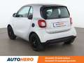 smart forTwo 1.0 Proxy Wit - thumbnail 4