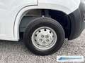 Citroen Jumper Pritsche Doppelkabine DAB Spurhalteass. Notbremsas Weiß - thumbnail 11