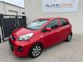 Kia Picanto 1,0 MPI Team Austria Editio Rot - thumbnail 5