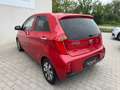 Kia Picanto 1,0 MPI Team Austria Editio Rot - thumbnail 14