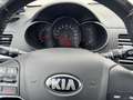 Kia Picanto 1,0 MPI Team Austria Editio Rot - thumbnail 20