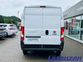 Fiat Ducato Hochr.-Kasten 30 120 L2H2 RS 3450 mm Multij Weiß - thumbnail 6