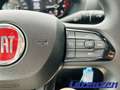 Fiat Ducato Hochr.-Kasten 30 120 L2H2 RS 3450 mm Multij Weiß - thumbnail 16