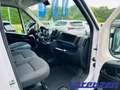 Fiat Ducato Hochr.-Kasten 30 120 L2H2 RS 3450 mm Multij Weiß - thumbnail 9