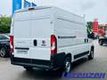 Fiat Ducato Hochr.-Kasten 30 120 L2H2 RS 3450 mm Multij Weiß - thumbnail 3