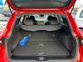 Renault Kadjar KADJAR BUSINESS EDITION-PDC-KLIMA-NAVI-TEMPO-DAB Rot - thumbnail 27