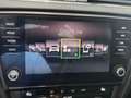 Skoda Octavia Drive 1.6 TDI 116 ch CR FAP DSG7 ~ Climatisation automatique bi-zone ~ Écran multimédia ~ Radars AV AR Gris - thumbnail 23